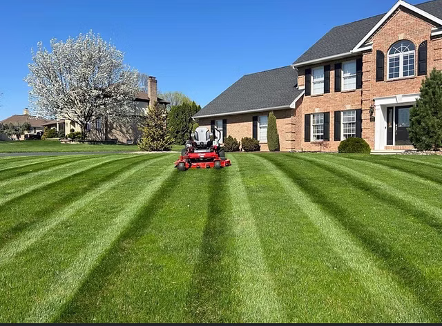 Lawn Mowing in Summit